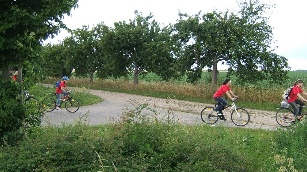 Fitnesshouse Lindenthal Sommerfest (101)